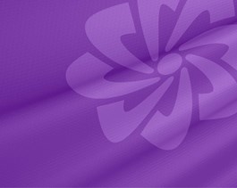 Cultura No Image Copiar